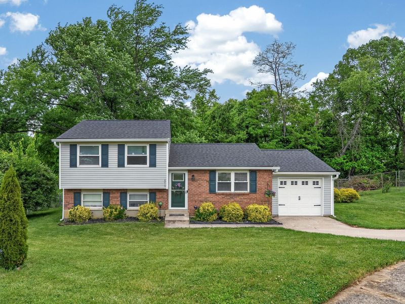 4016 Pointer Court, Florence, KY 41042 Photo 18