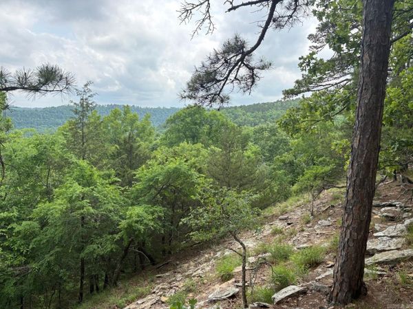 0 Angora Mountain Road, Leslie, AR 72645