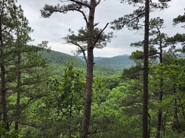 0 Angora Mountain Road, Leslie, AR 72645