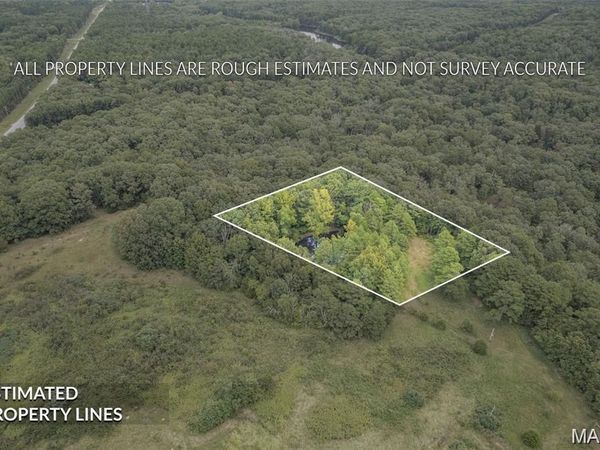 7604 State Highway 32 - Lot 4 , Farmington, MO 63640