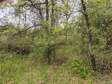 000 Middle Parcel C Middle Road , Highland Twp, MI 48357