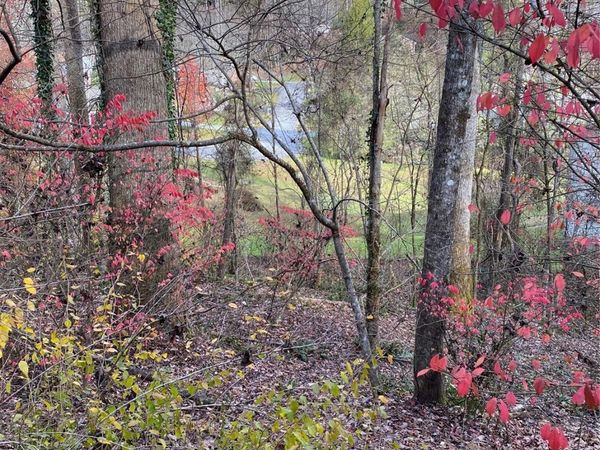000 Waterford Place , Brevard, NC 28712