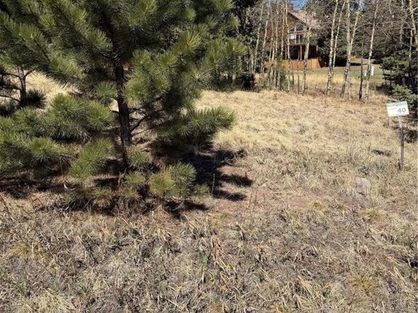 405 Meadow Park Drive , Divide, CO 80814