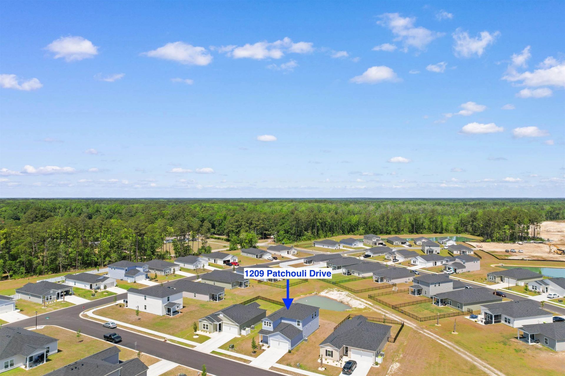 1209 Patchouli Dr. Photo 42