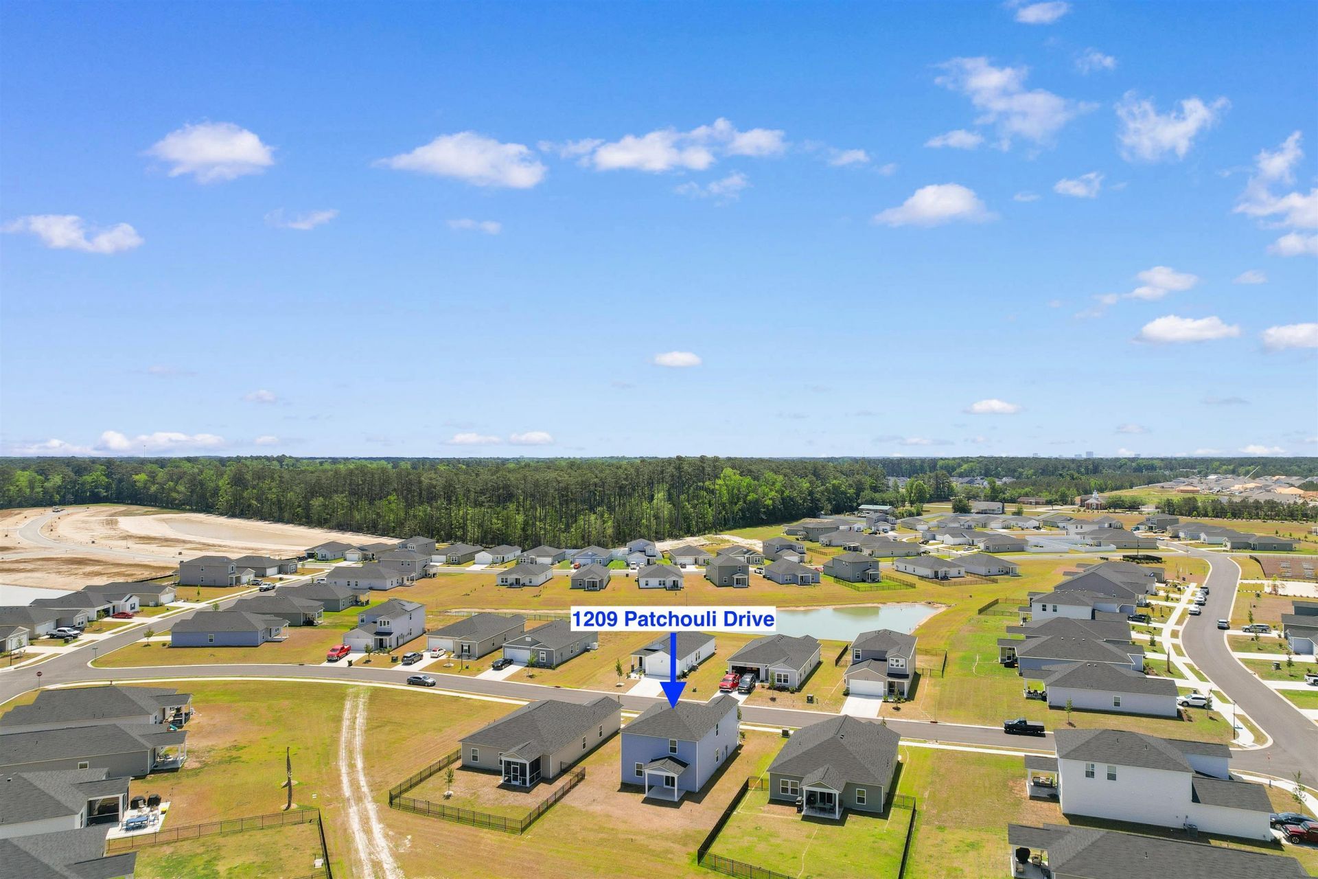 1209 Patchouli Dr. Photo 46