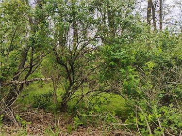 000 Middle Parcel D Middle Road , Highland Twp, MI 48357