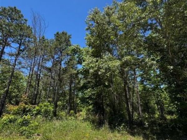 24 Vista Ridge Trail, Watson, OK 74957