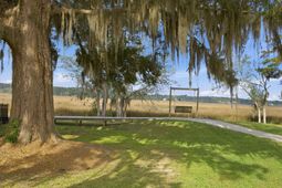 1081 Saltwater Circle photo 4