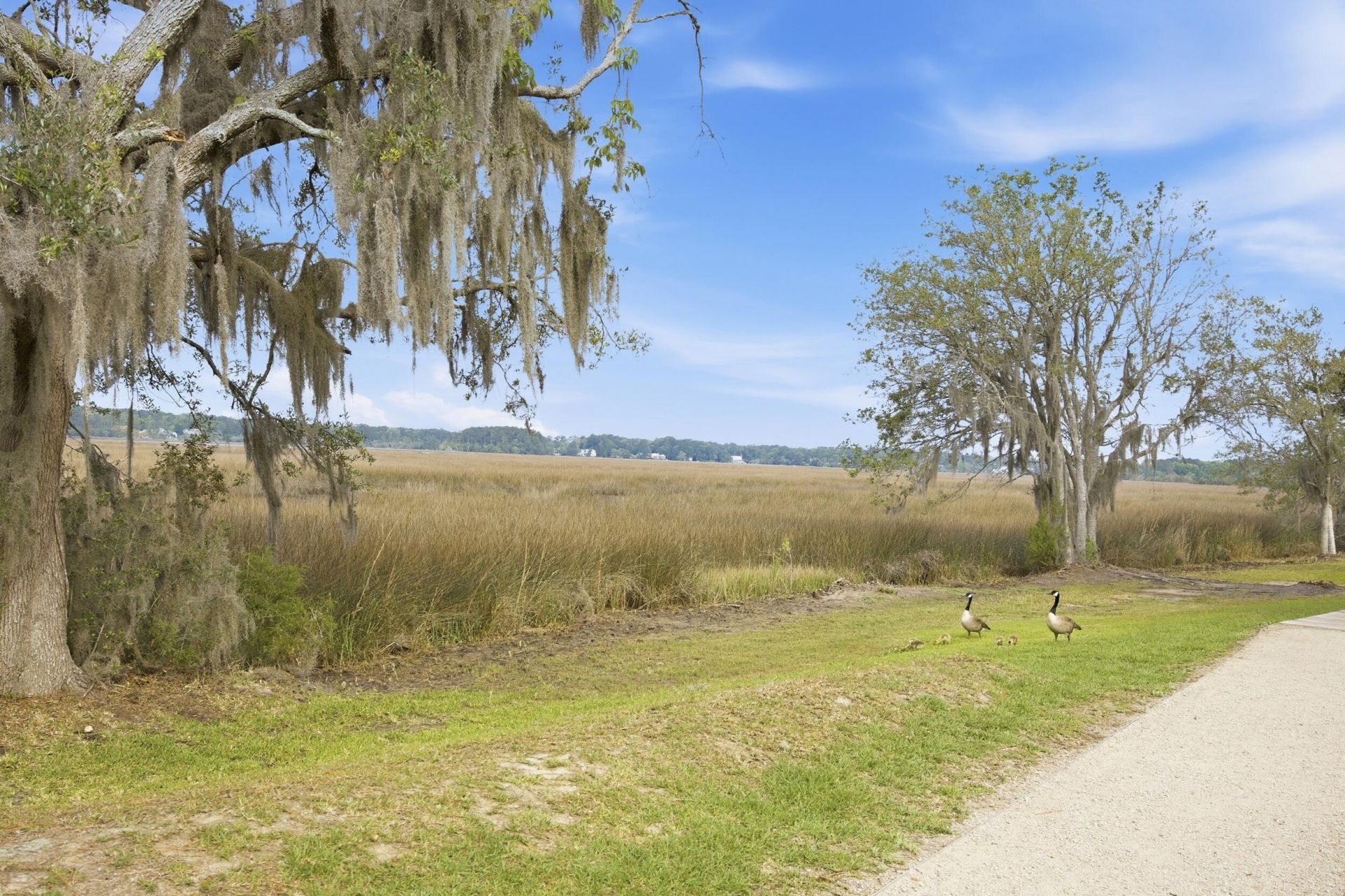 1081 Saltwater Circle Photo 34