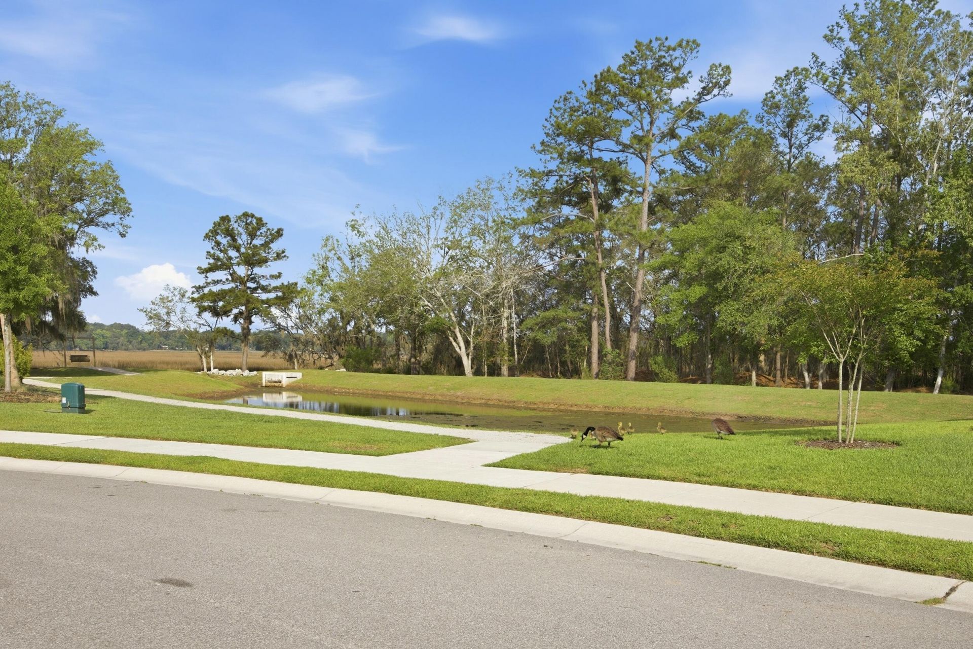 1081 Saltwater Circle Photo 39