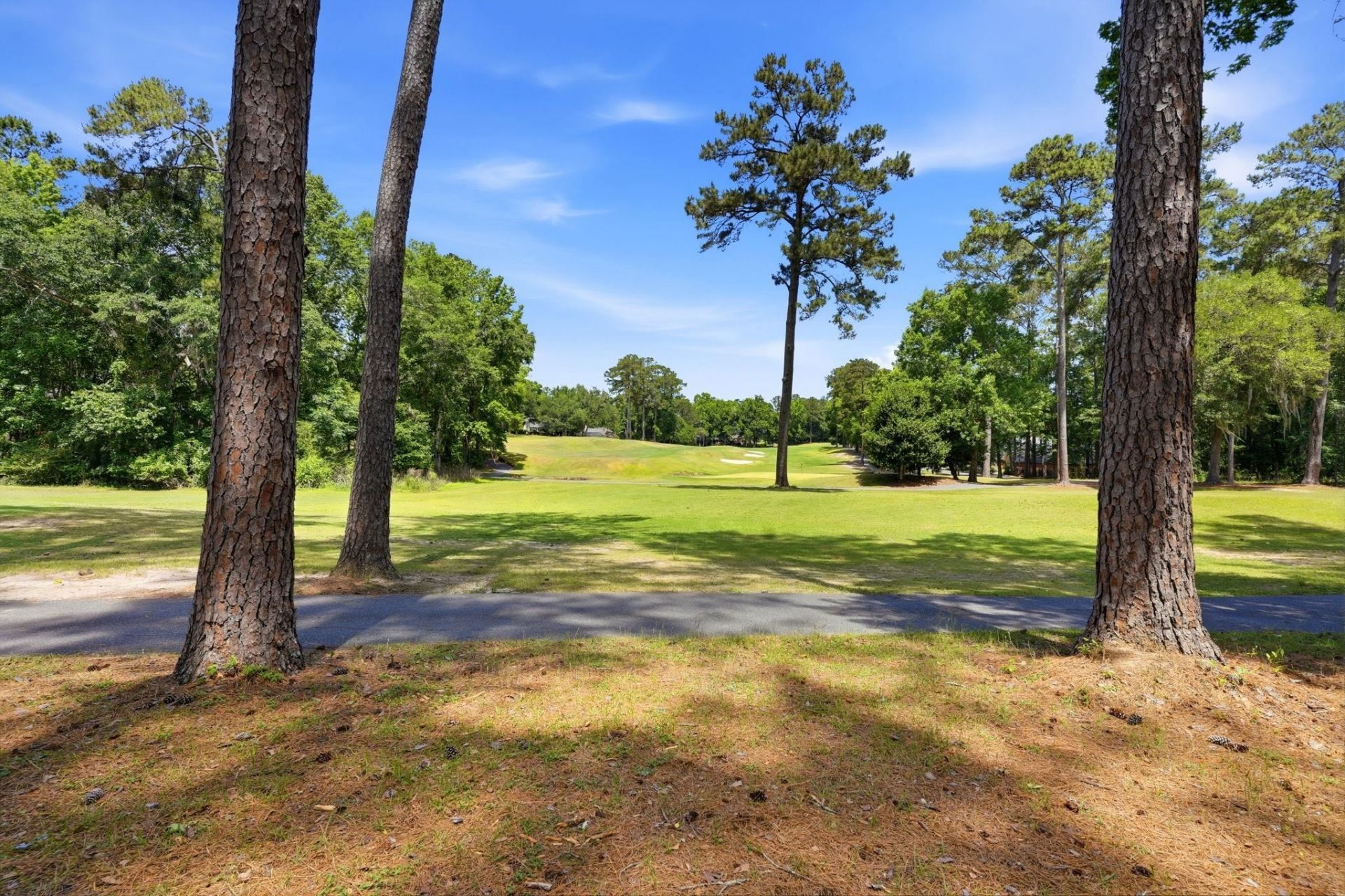 2130 Golden Eagle Drive, Tallahassee, FL 32312 Photo