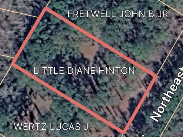0 Northeast Drive, Burgaw, NC 28425