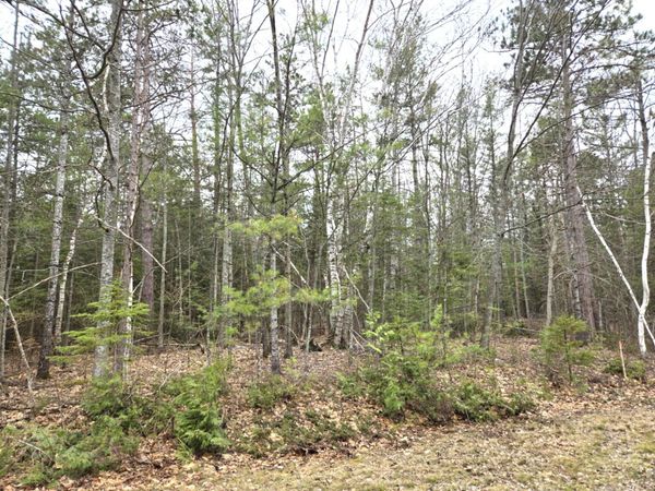 Lot 513 Balsam Circle, Presque Isle, MI 49777