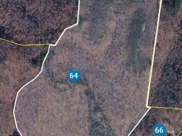 0 Savannah Hwy , Waynesboro, TN 38485