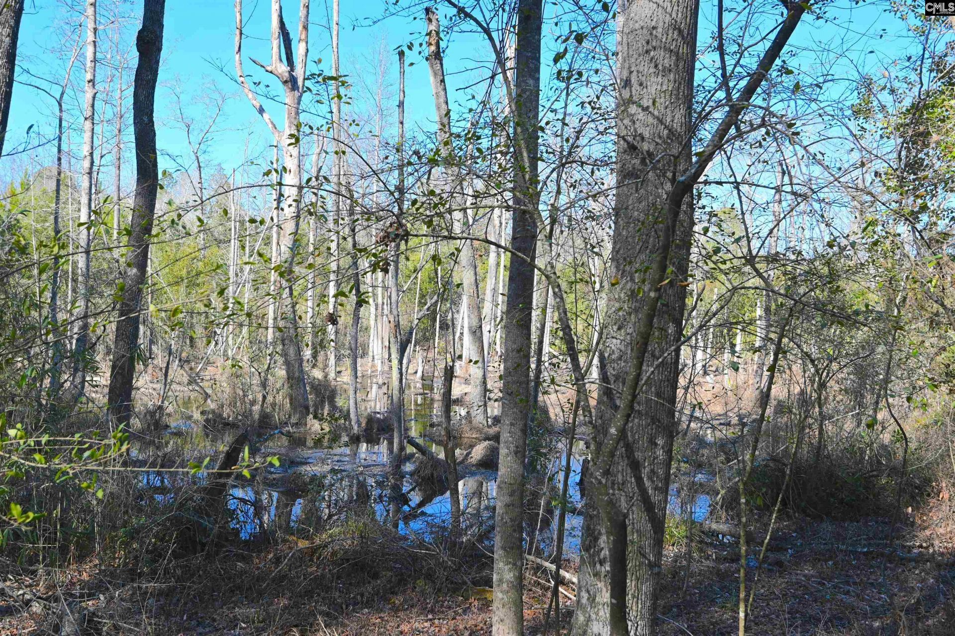 707 Mt Ebal Road  Photo 10