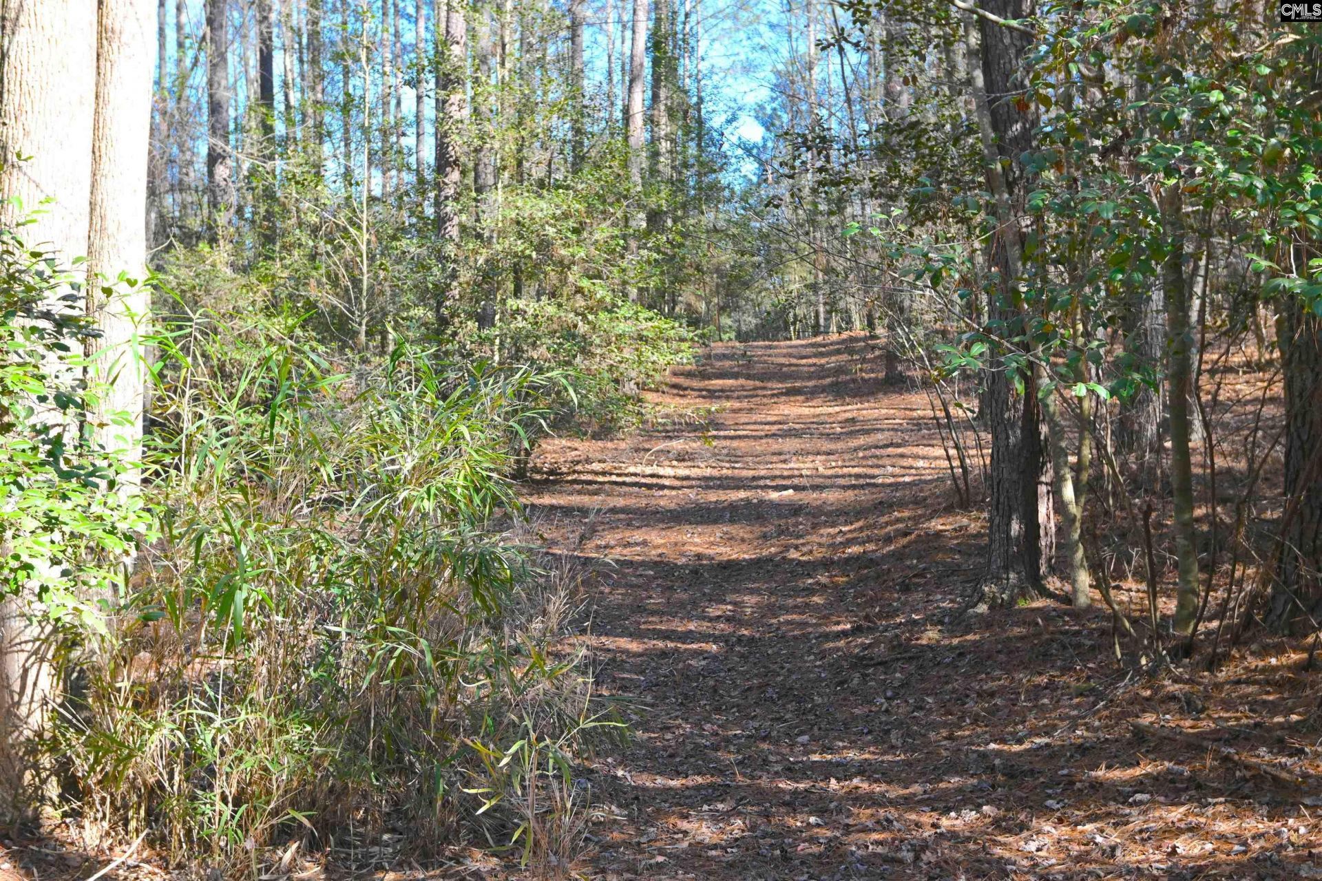 707 Mt Ebal Road  Photo 11