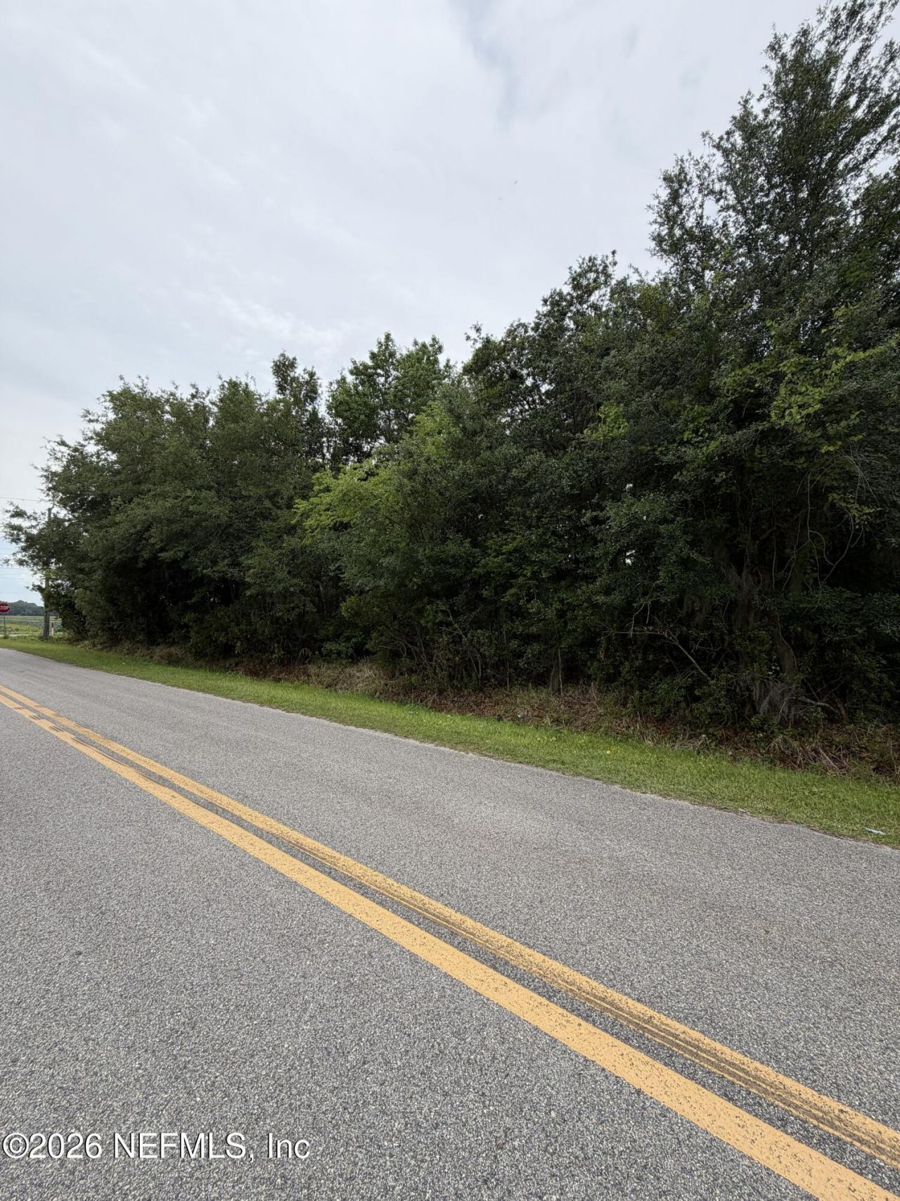 158 E Cracker Swamp Road, East Palatka, FL 32131 Photo