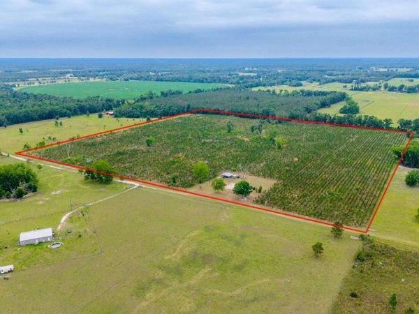 TBD 173RD RD, Live Oak, FL 32060