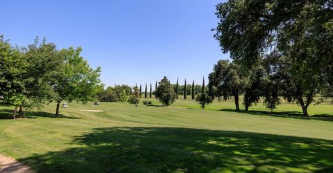 1682 Fairway Oaks Ct, Ripon, CA 95366 Photo
