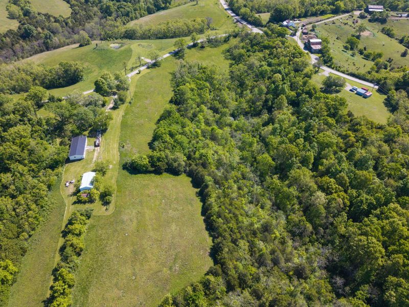 240 Morgan Creek Road, Corinth, KY 41010 Photo 13