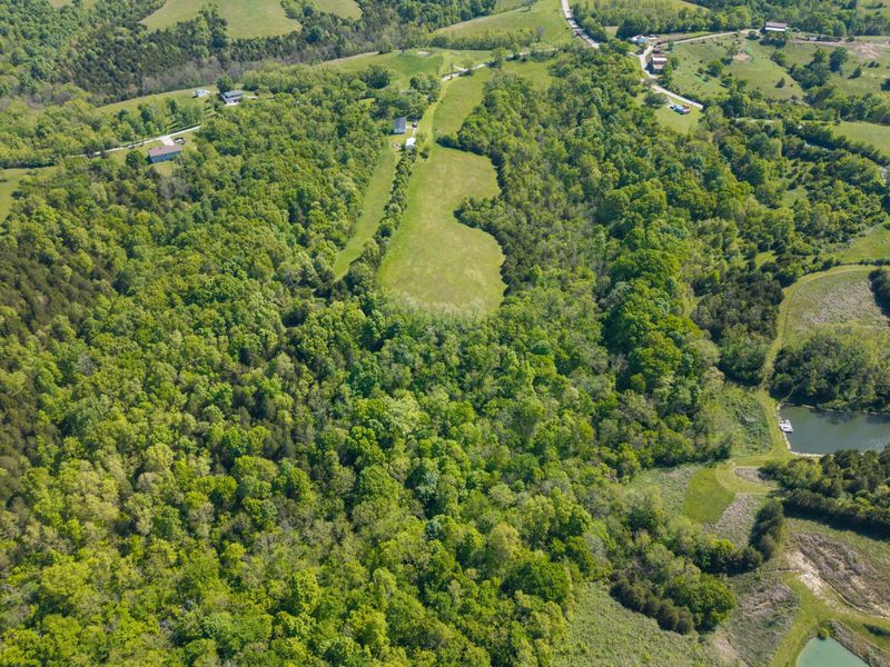240 Morgan Creek Road, Corinth, KY 41010 Photo 14