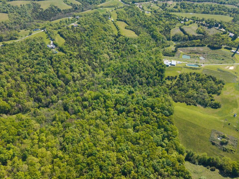 240 Morgan Creek Road, Corinth, KY 41010 Photo 18