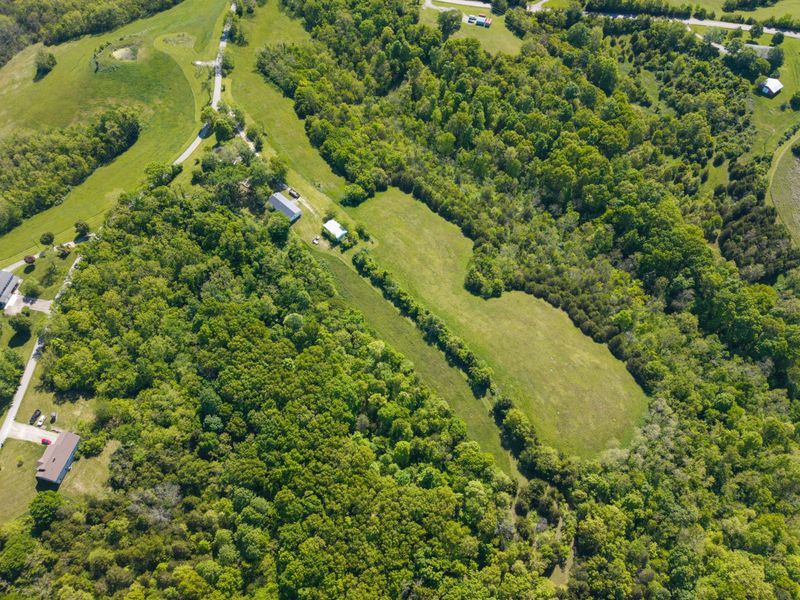 240 Morgan Creek Road, Corinth, KY 41010 Photo 20