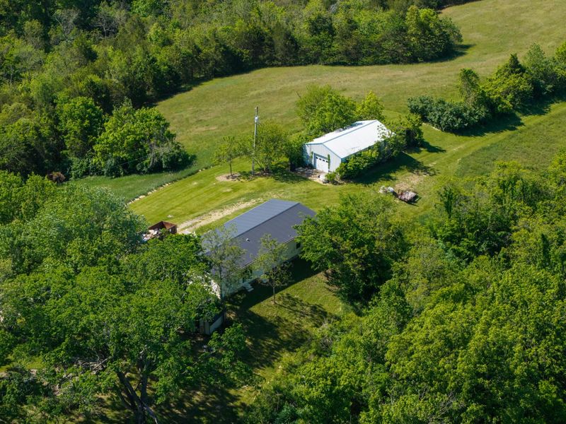 240 Morgan Creek Road, Corinth, KY 41010 Photo 27