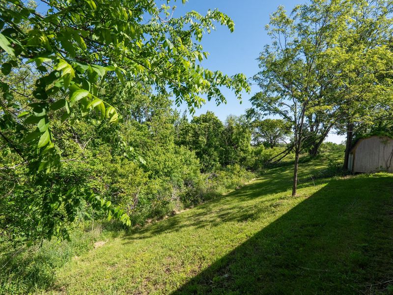240 Morgan Creek Road, Corinth, KY 41010 Photo 5