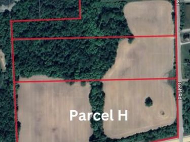 Golf Road (Parcel H), Elba Twp, MI 48423
