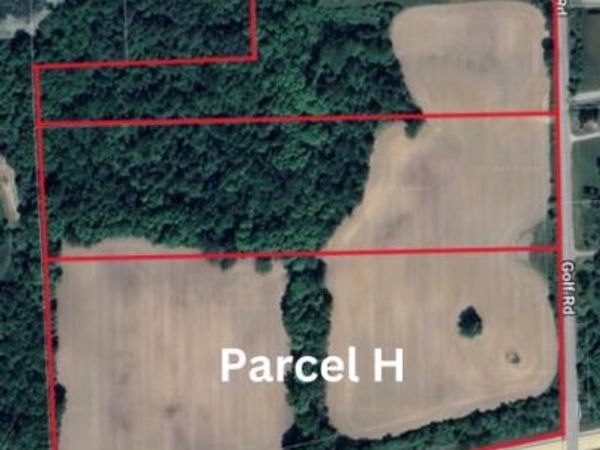 Golf Road (Parcel H), Elba Twp, MI 48423