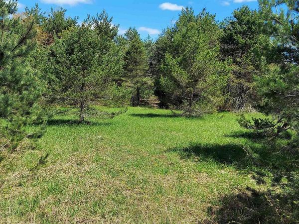 Johnson Road, Mancelona, MI 49659