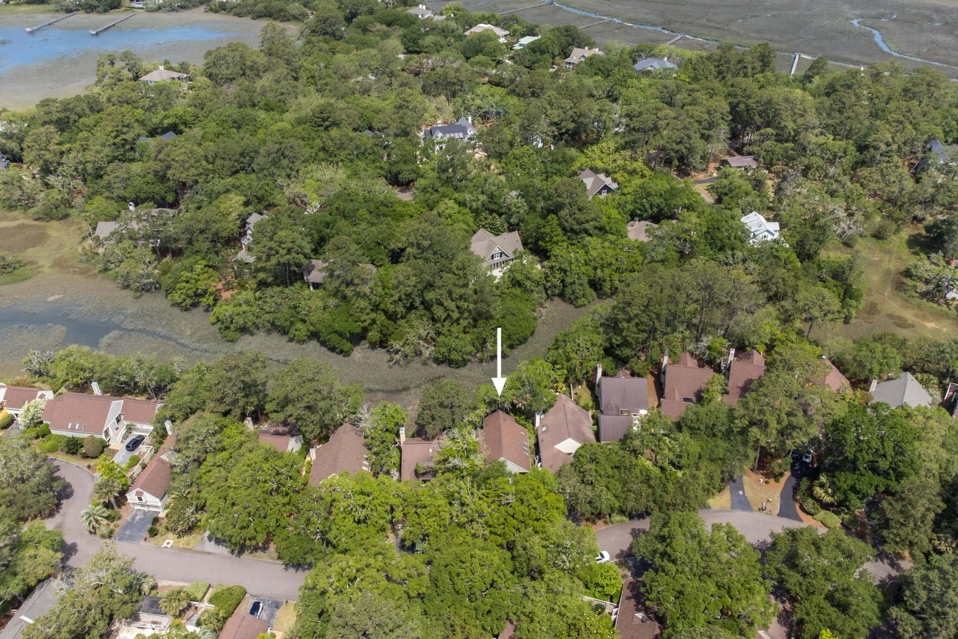 1008 Embassy Row Way Photo 42