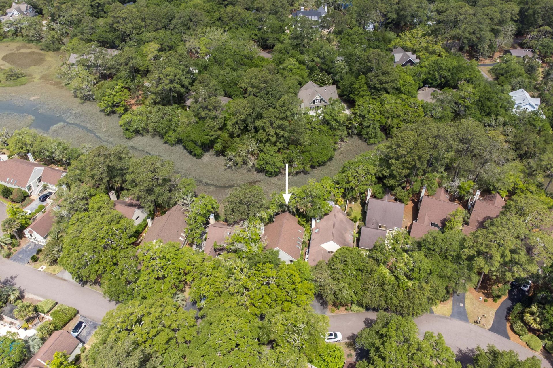 1008 Embassy Row Way Photo 43