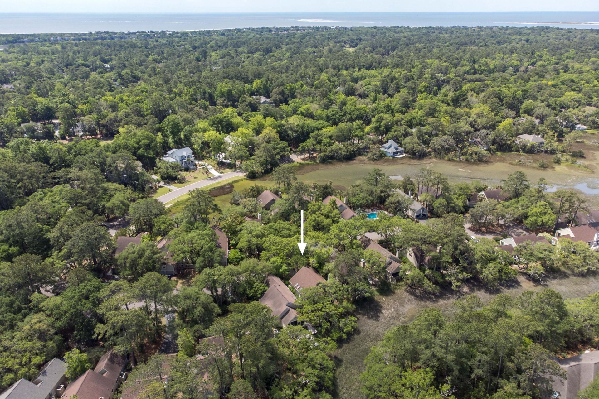 1008 Embassy Row Way Photo 46