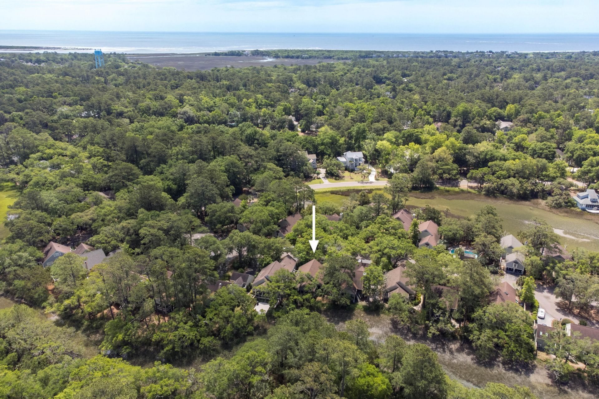 1008 Embassy Row Way Photo 47