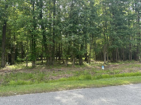 Near 628 Blue Jean Road, Whiteville, NC 28472