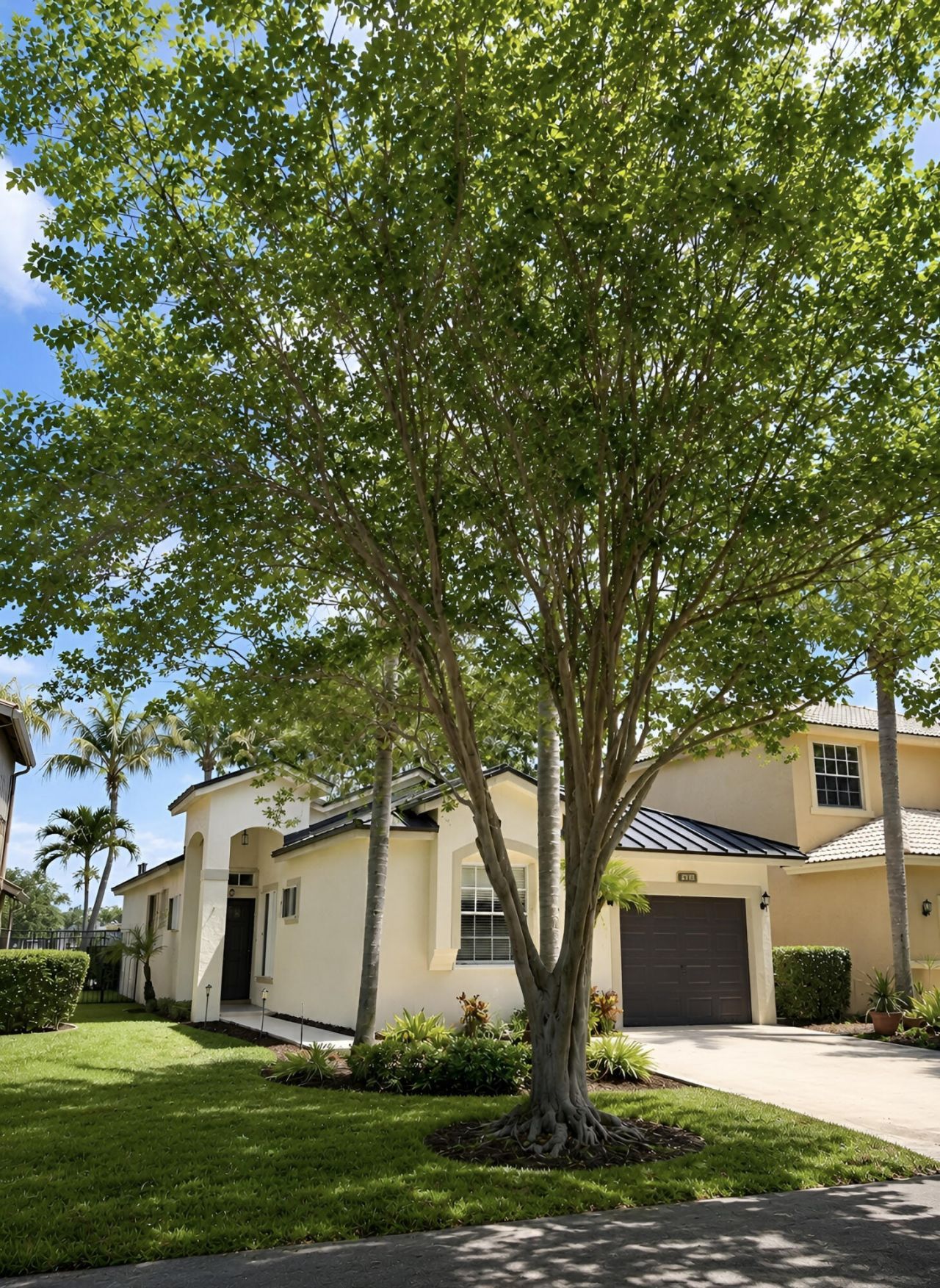 4939 Pelican Street, Coconut Creek, FL 33073 Photo