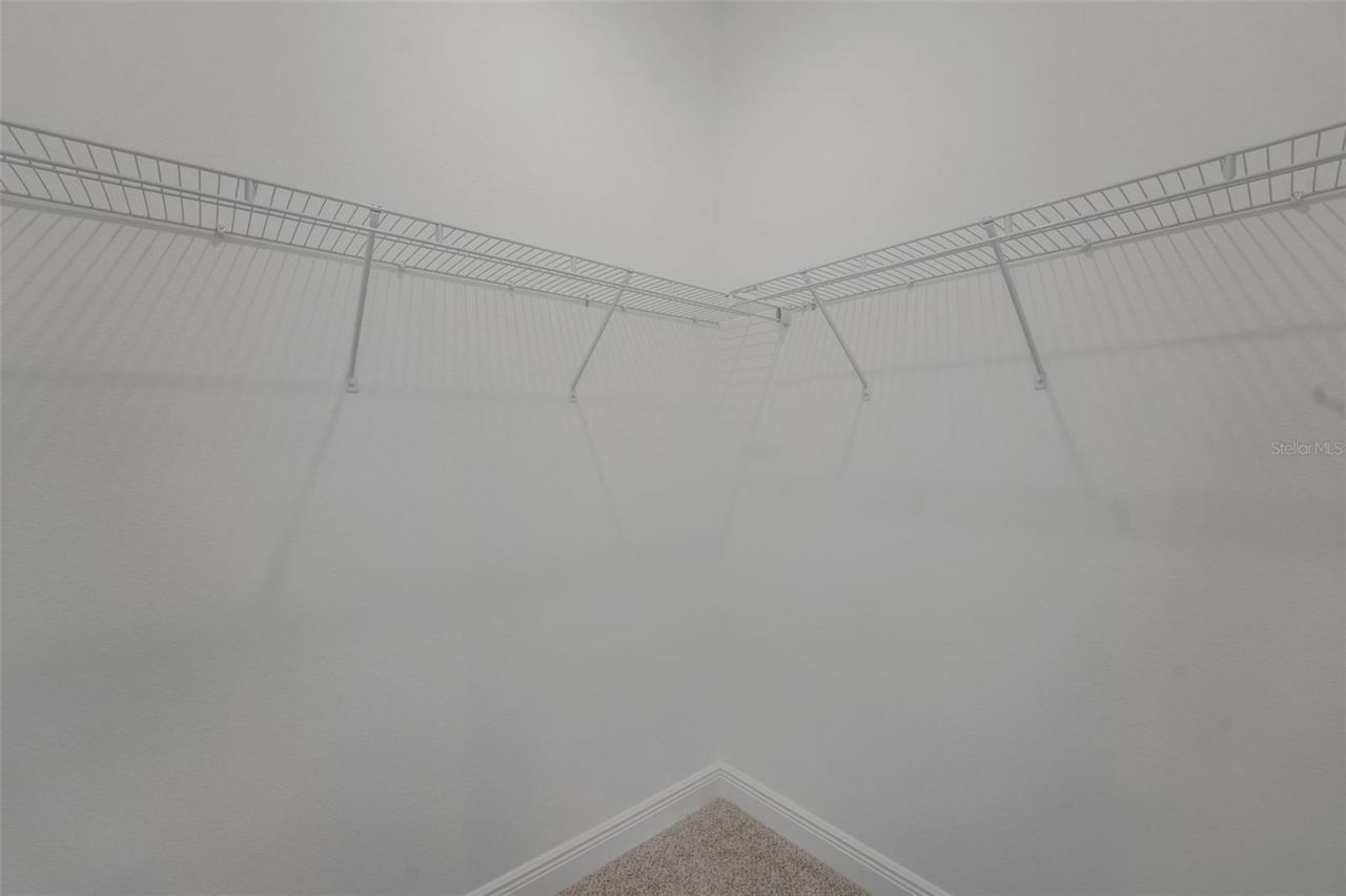15136 Tea Tree Drive , Winter Garden, FL 34787 Photo