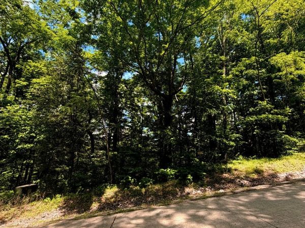 33 Swiper Dr, Unit 33, Smithville, TN 37166
