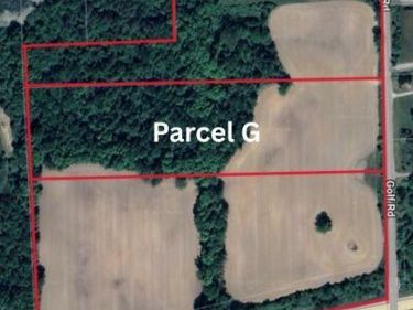 Golf Road (Parcel G) , Elba Twp, MI 48423