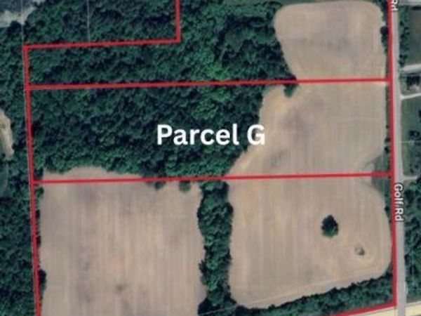 Golf Road (Parcel G) , Elba Twp, MI 48423