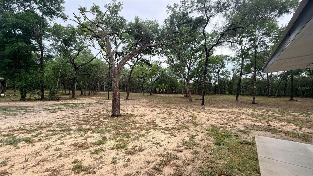 15535 Little Ranch Road, Spring Hill, FL 34610 Photo