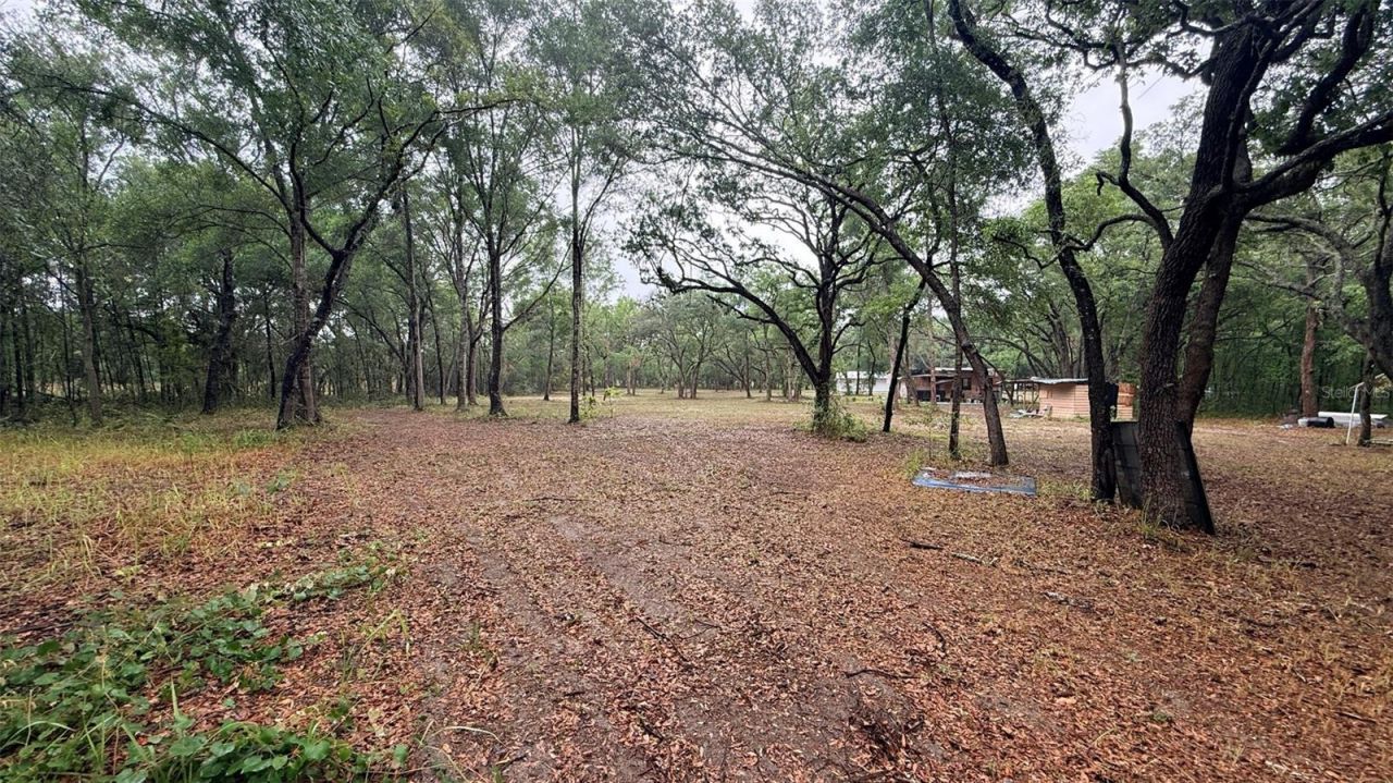 15535 Little Ranch Road, Spring Hill, FL 34610 Photo