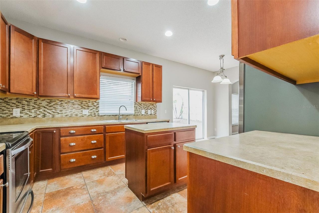 2043 Hammock Moss Drive, Orlando, FL 32820 Photo