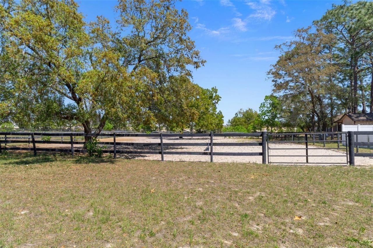 3450 Gretna Drive, Spring Hill, FL 34609 Photo