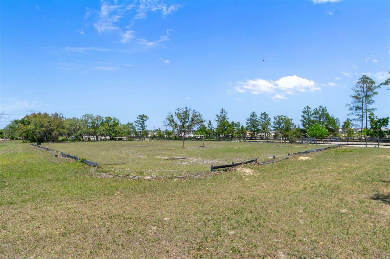 3450 Gretna Drive, Spring Hill, FL 34609 Photo