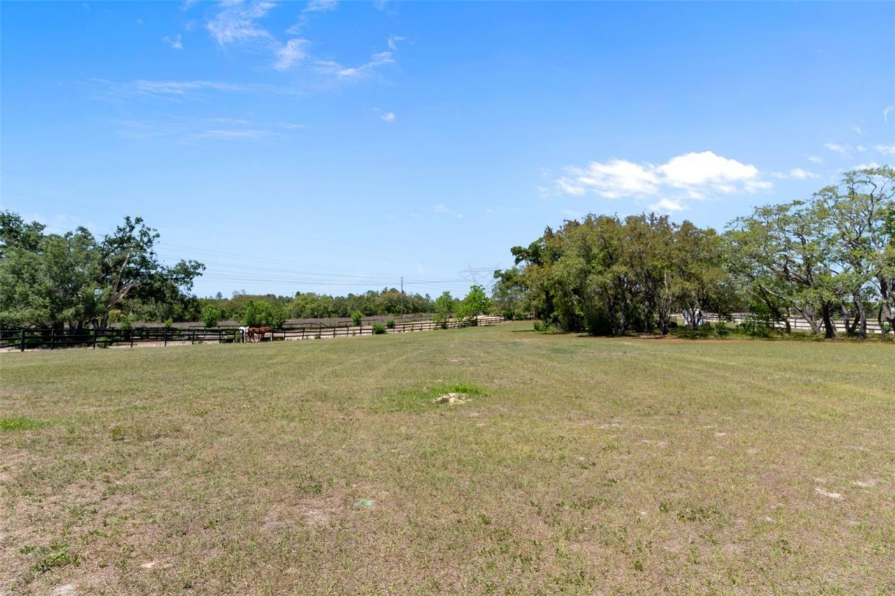 3450 Gretna Drive, Spring Hill, FL 34609 Photo