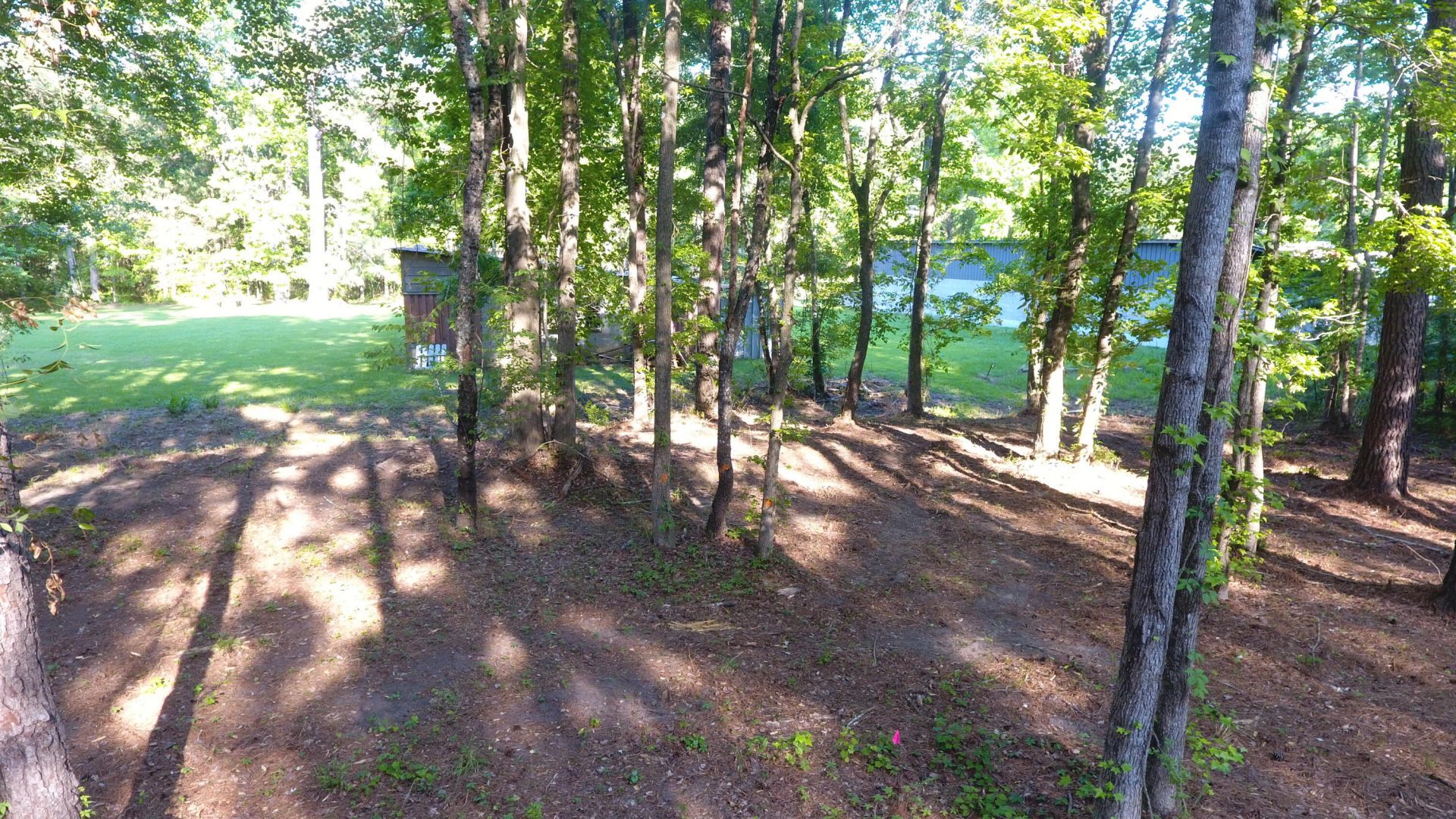 0 Tasman Lane Photo 32