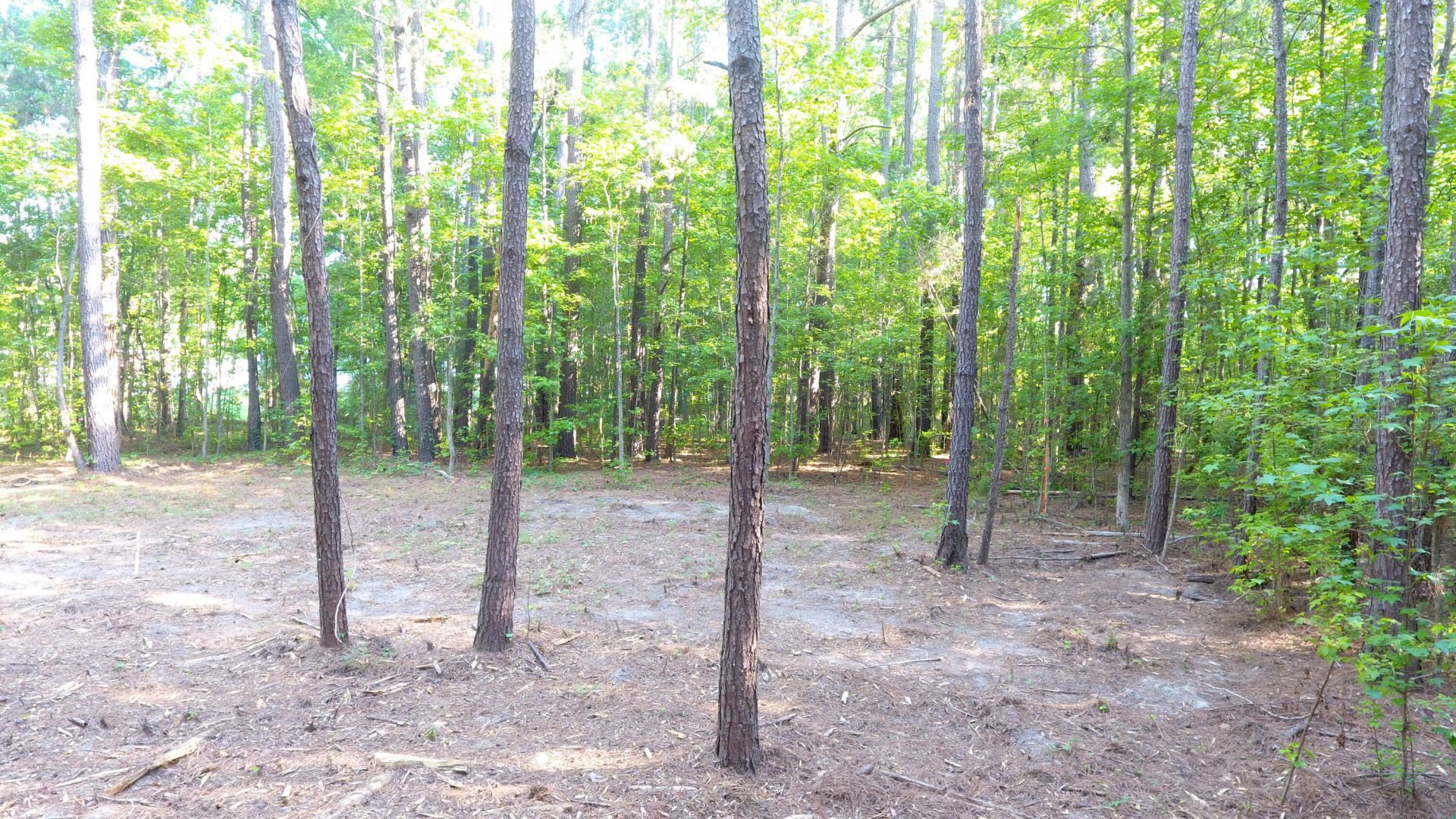 0 Tasman Lane Photo 49